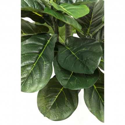 Decoratie Plant Fiddle Leaf 120cm Kare Design