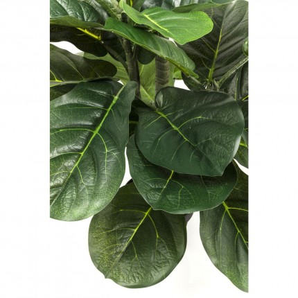 Kunstplanten Ficus Lyrata 120cm Kare Design