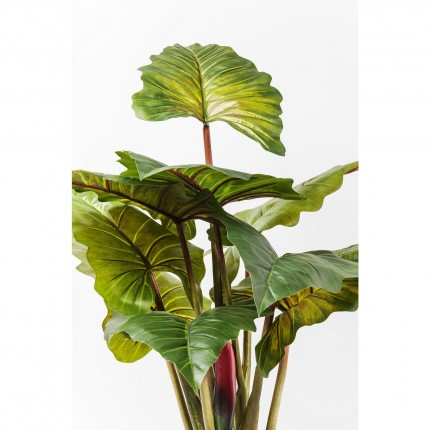 Deco Plant Rainforest Green 160cm Kare Design