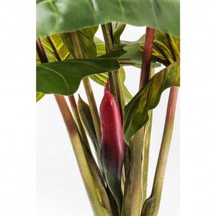 Decoratie Plant Rainforest Green 160cm Kare Design