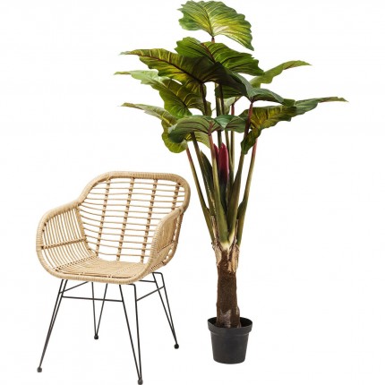 Decoratie Plant Rainforest Green 160cm Kare Design