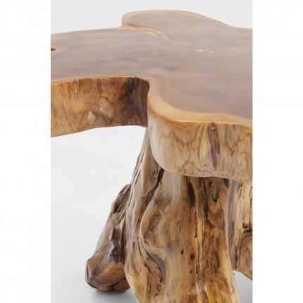 Salontafel boomstronk Kare Design
