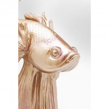 Deco Betta Fish Gold Kare Design