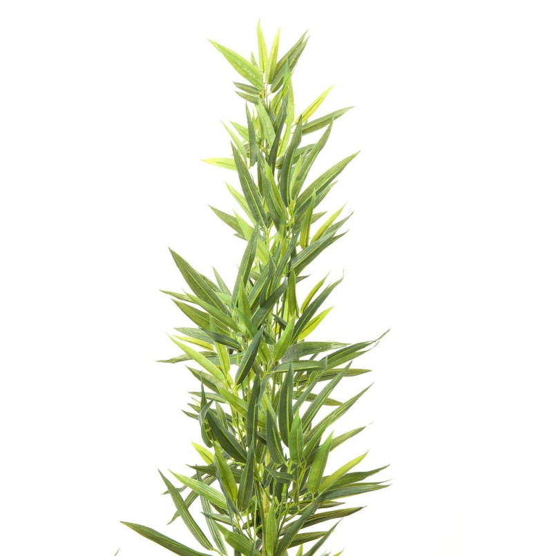 Deco Plant  Bamboo Tree 200cm Kare Design