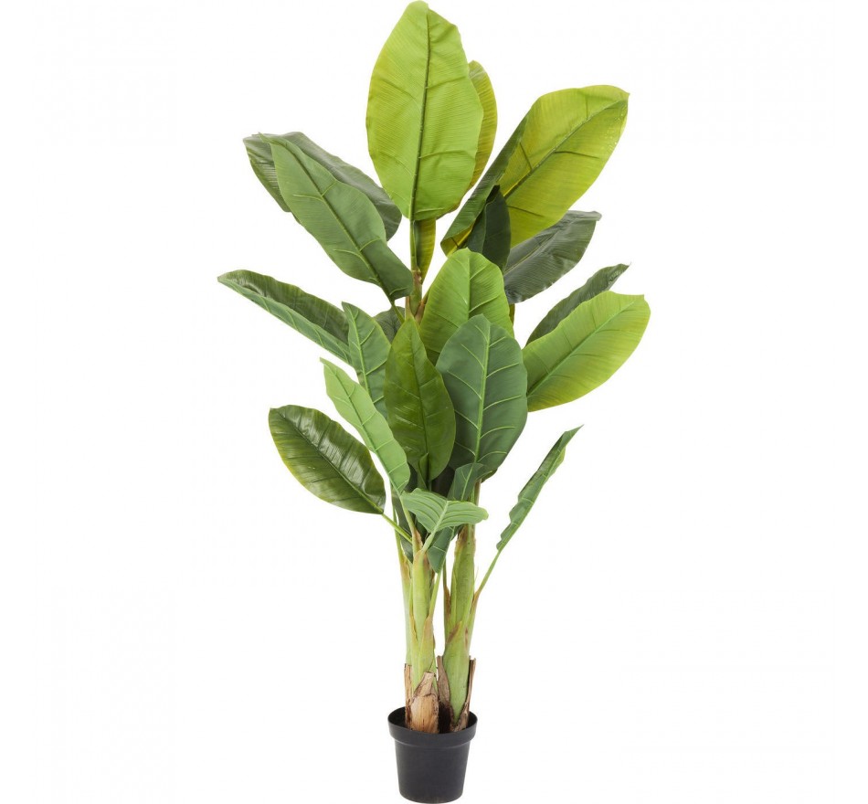 Kunstplanten bananenboom 180cm Kare Design