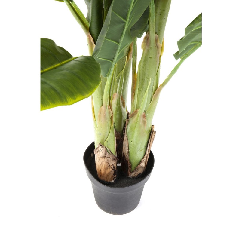 Deco Plant  Banana Tree 180cm Kare Design