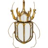 Déco murale miroir Scarabée Kare Design