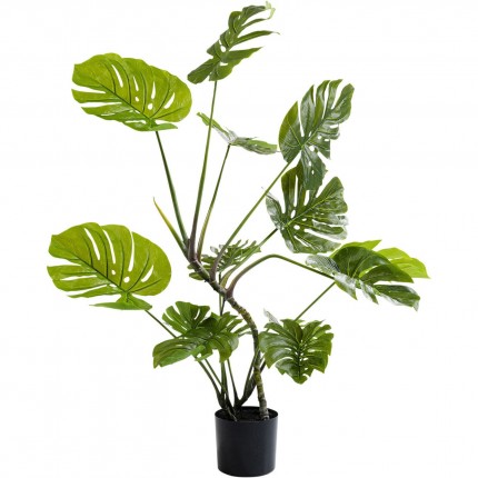 Deco Plant Monstera 110cm Kare Design