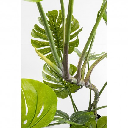 Deco Plant Monstera 110cm Kare Design