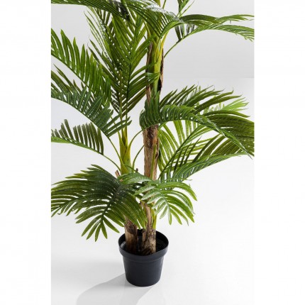 Decoratie Plant Palm tree 190cm Kare Design