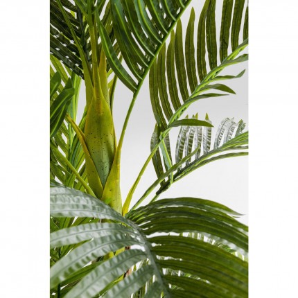 Decoratie Plant Palm tree 190cm Kare Design