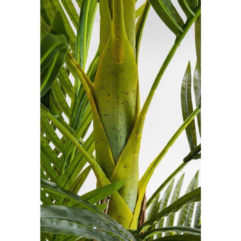 Plante décorative Palm Tree 190cm