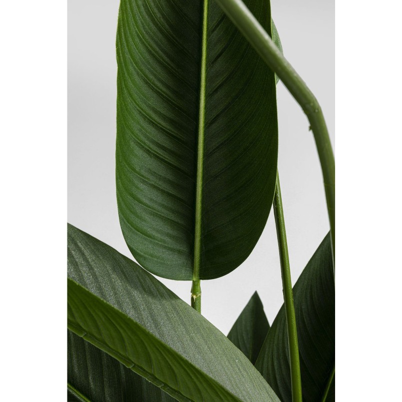 Deco Plant Paradise Flowers 190cm Kare Design