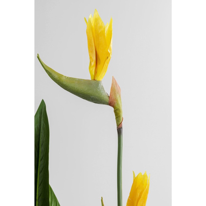 Deco Plant Paradise Flowers 190cm Kare Design