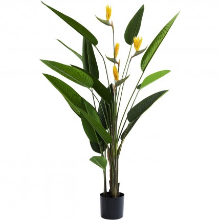 Deco Plant Paradise Flowers 190cm Kare Design