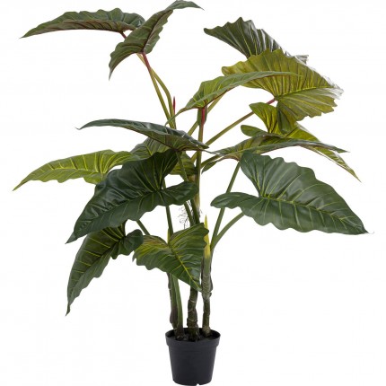 Deco Plant  Taro 180cm Kare Design