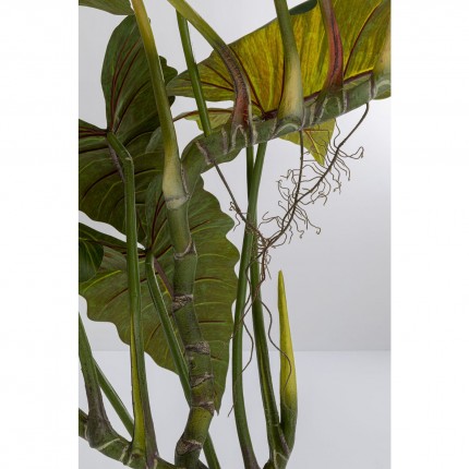 Deco Plant  Taro 180cm Kare Design