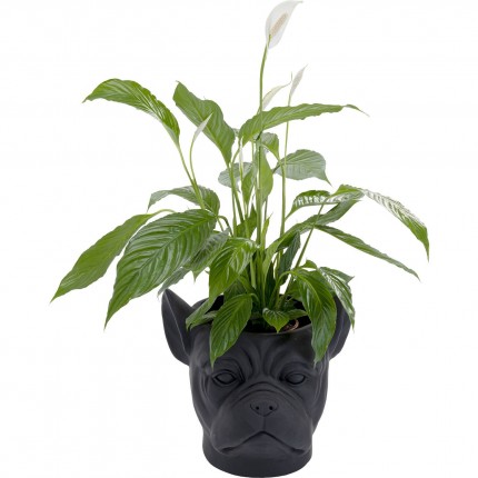 Sierpotten Planter Bulldog Zwart Kare Design