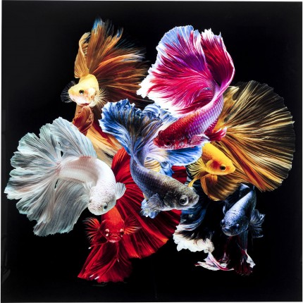 Tableau en verre Colorful Swarm Fish 120x120
