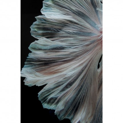 Glass Picture Colorful Swarm Fish 120x120cm Kare Design