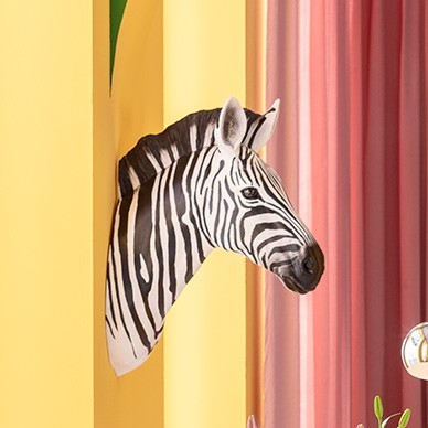 Wall Accessories