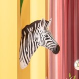 Wall Accessories