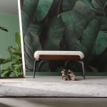 Banc