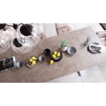 Servies