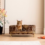 Bed voor dieren